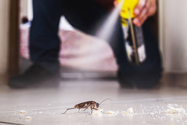 Best Insect Control  in Titusville, PA